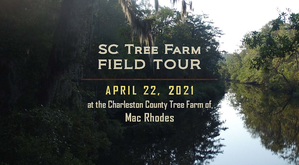 Tree Farm Field Tour